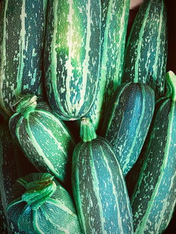 Courgettes
