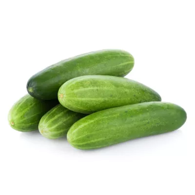 Cucumber_0