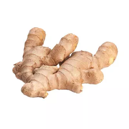 Ginger