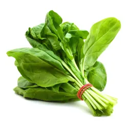 Vegetables