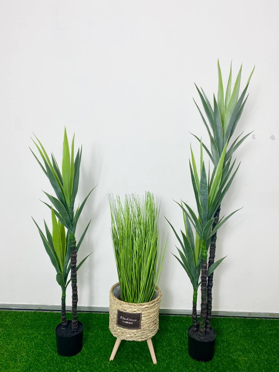 PREMIUM TREE YUCCA LIGHT_2