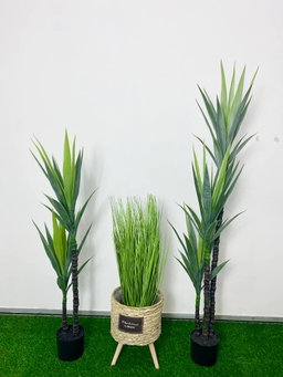 PREMIUM TREE YUCCA LIGHT