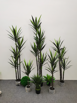 PREMIUM TREE YUCCA LIGHT