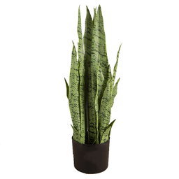 PREMIUM TREE SANSEVEIERIA GREEN