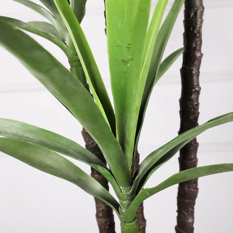 PREMIUM TREE YUCCA GREEN_2