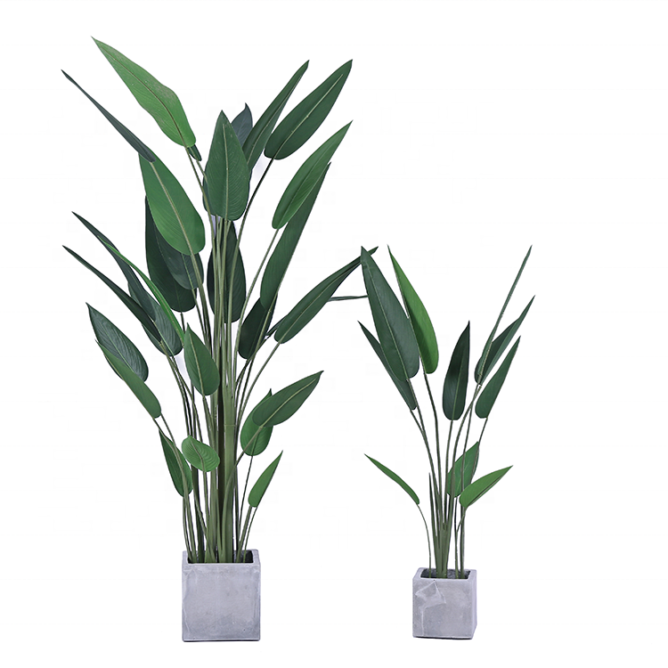 PREMIUM TREE SKYBIRD_2