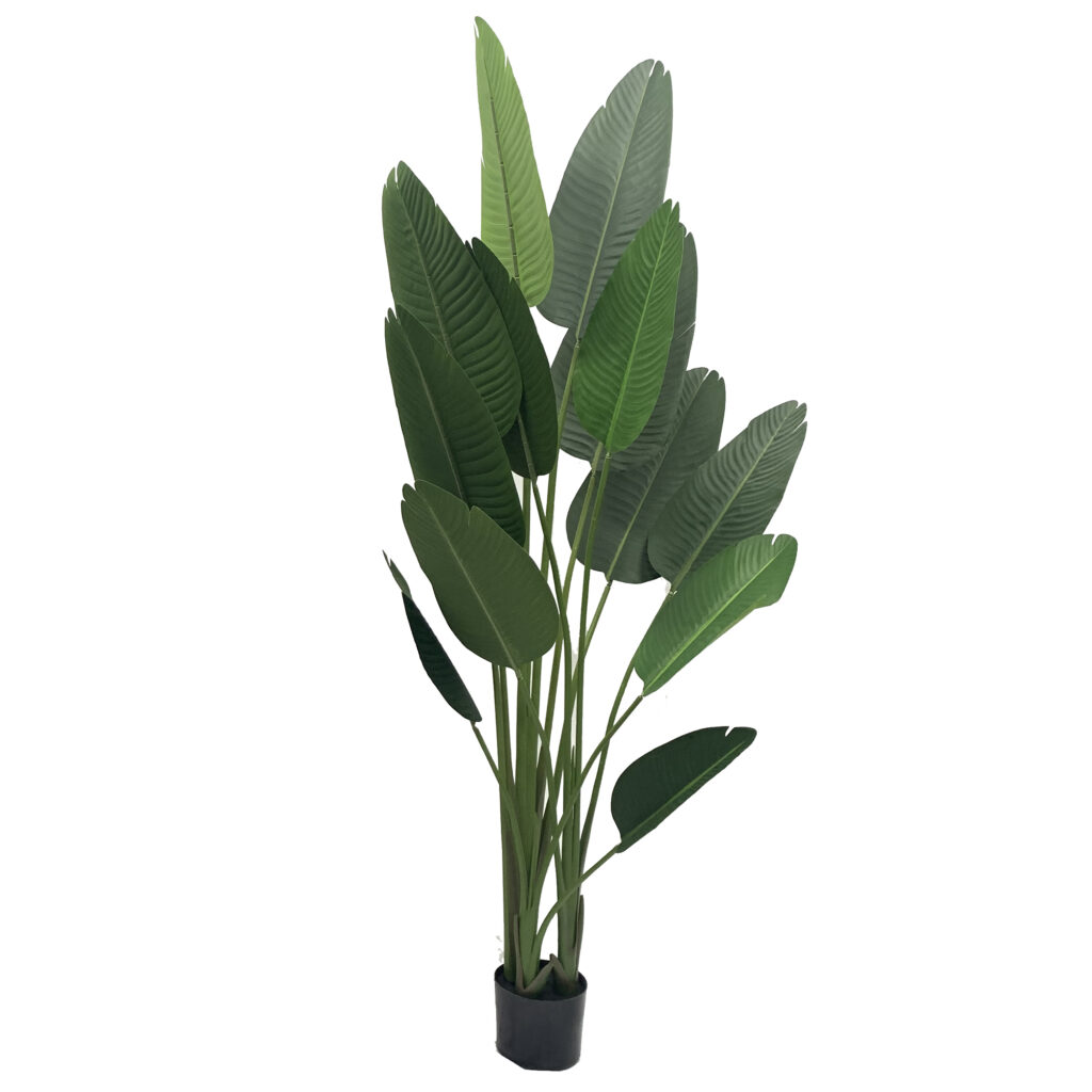 PREMIUM TREE SKYBIRD_7