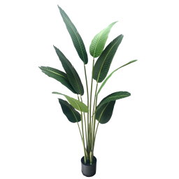 PREMIUM TREE SKYBIRD