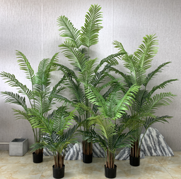 PREMIUM TREE PALM