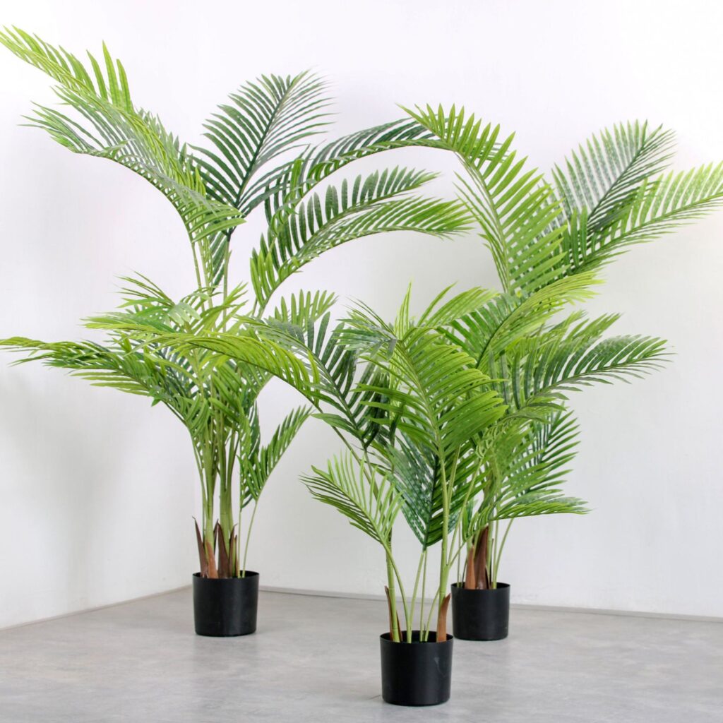 PREMIUM TREE PALM_2