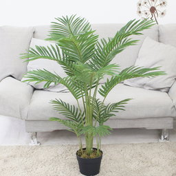 PREMIUM TREE PALM
