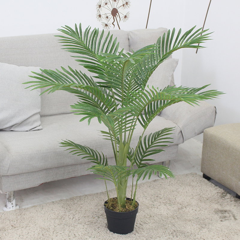 PREMIUM TREE PALM_8