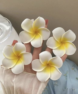 4pcs 2pcs Fried Plumeria Hairclip