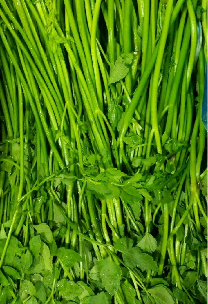 미나리4kg Water Parsley 4kg_1