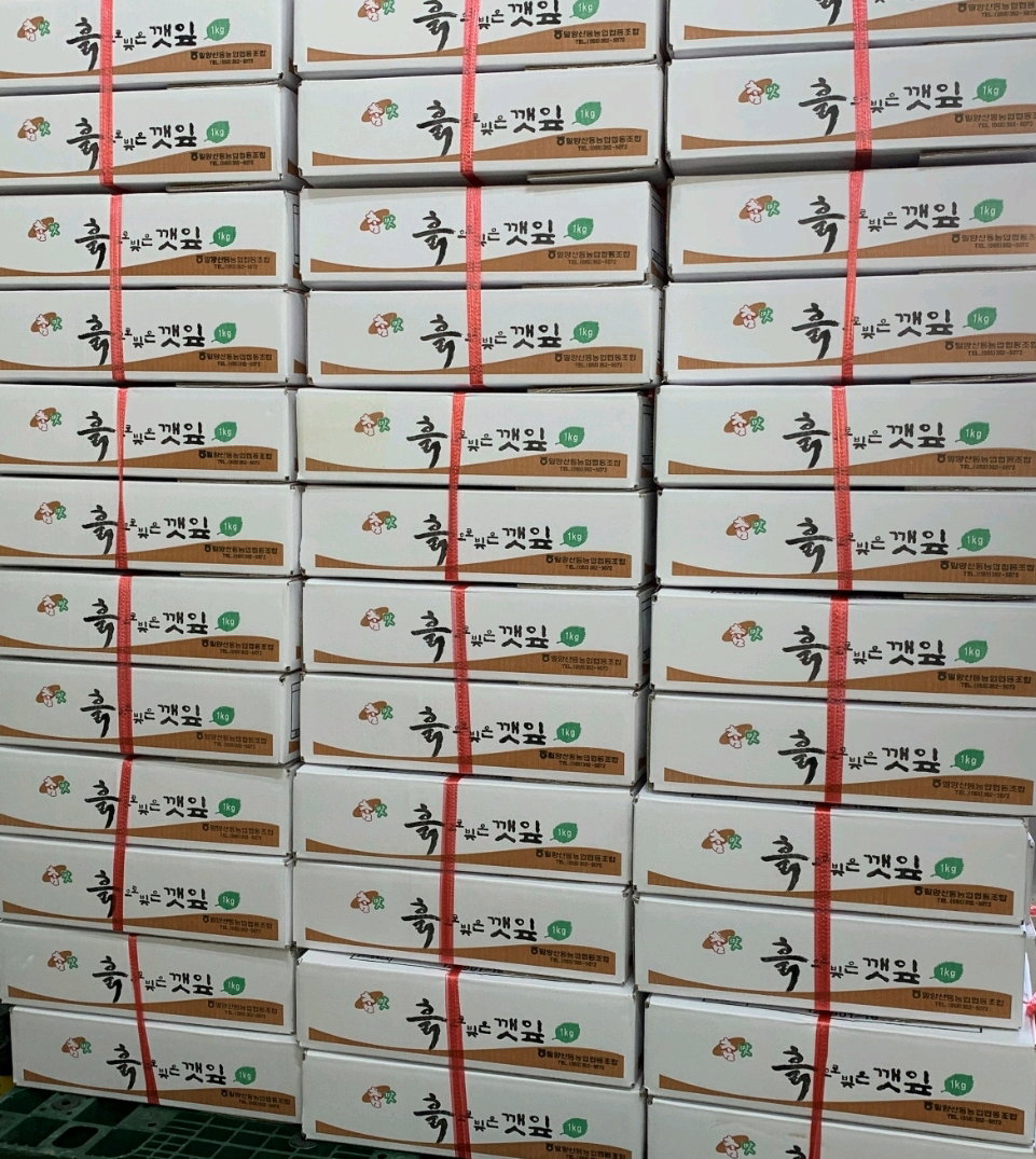 깻잎2kg Perilla Leaves 2kg_1