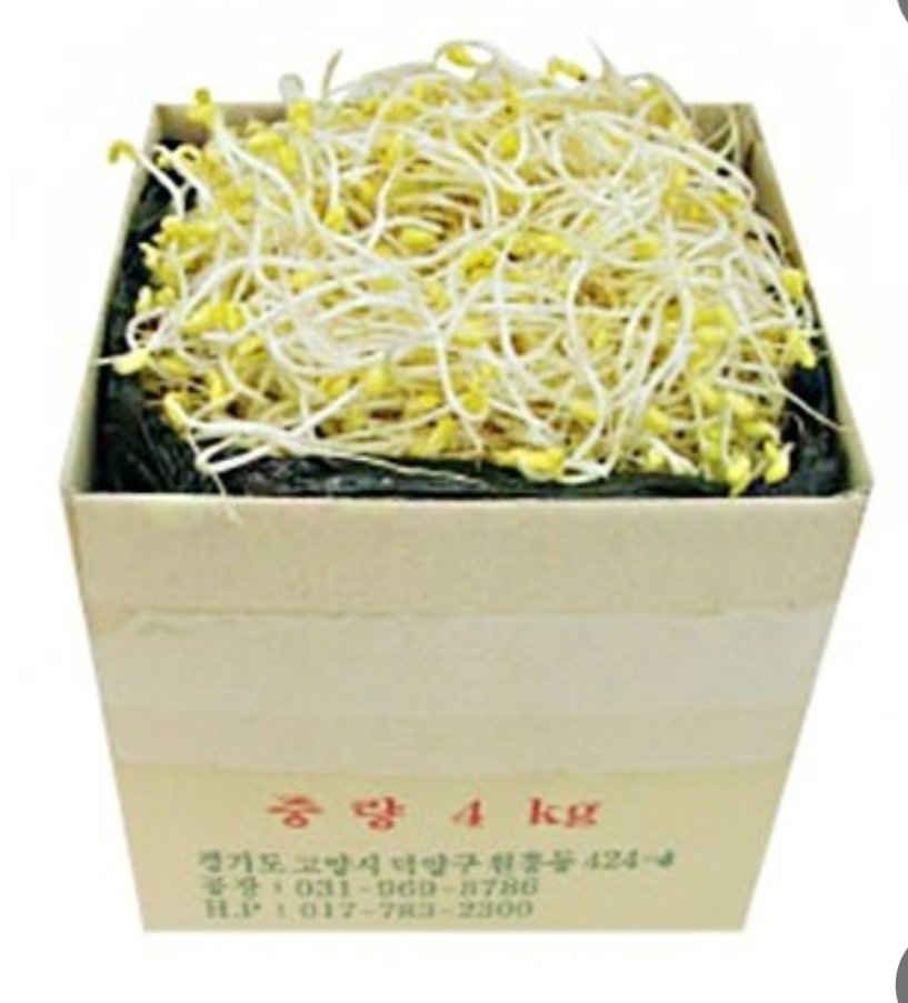 일자(찜용)콩나물 3.5kg Stew-Use Bean Sprouts 3.5kg_1