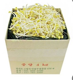 곱슬이(무침용)콩나물 3.5kg Salad-Use Bean Sprouts 3.5kg