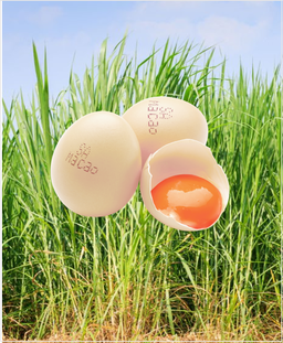 3 马草鸡蛋 AB级🥚 Napier Grass Chicken Egg A/B Grade RM33/tray of 30pc