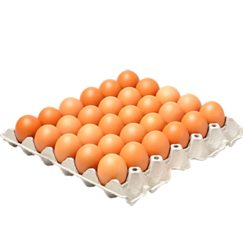 Extra Large Eggs 30 Pack Grade 1_1