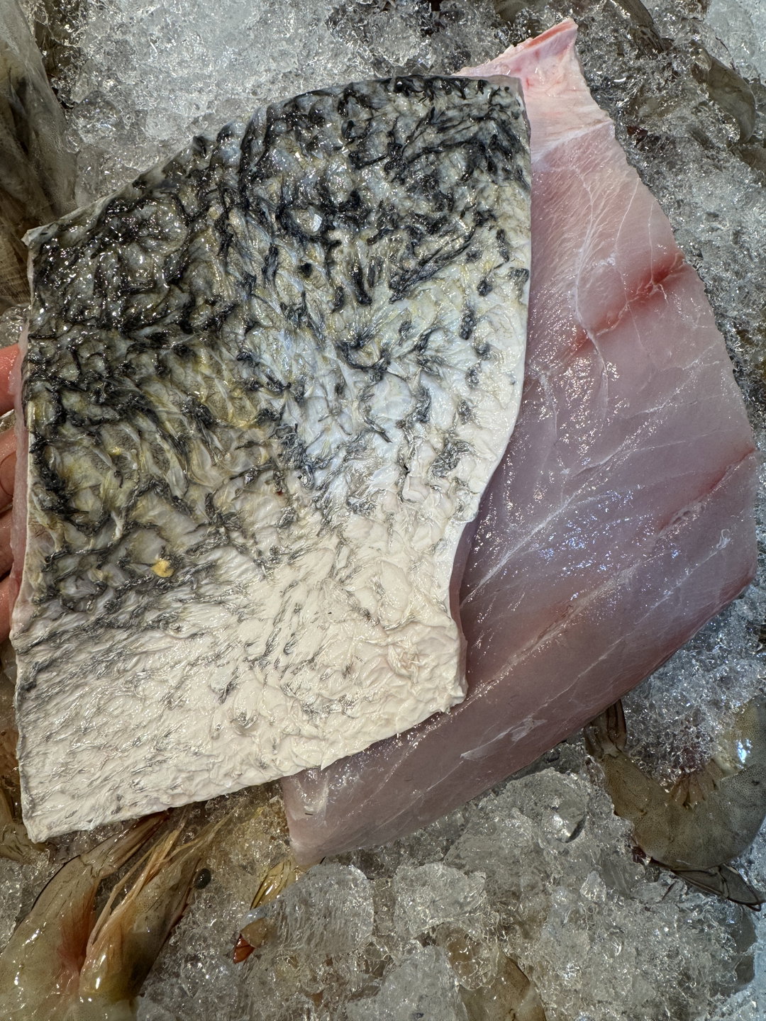 Barramundi (Seabass)