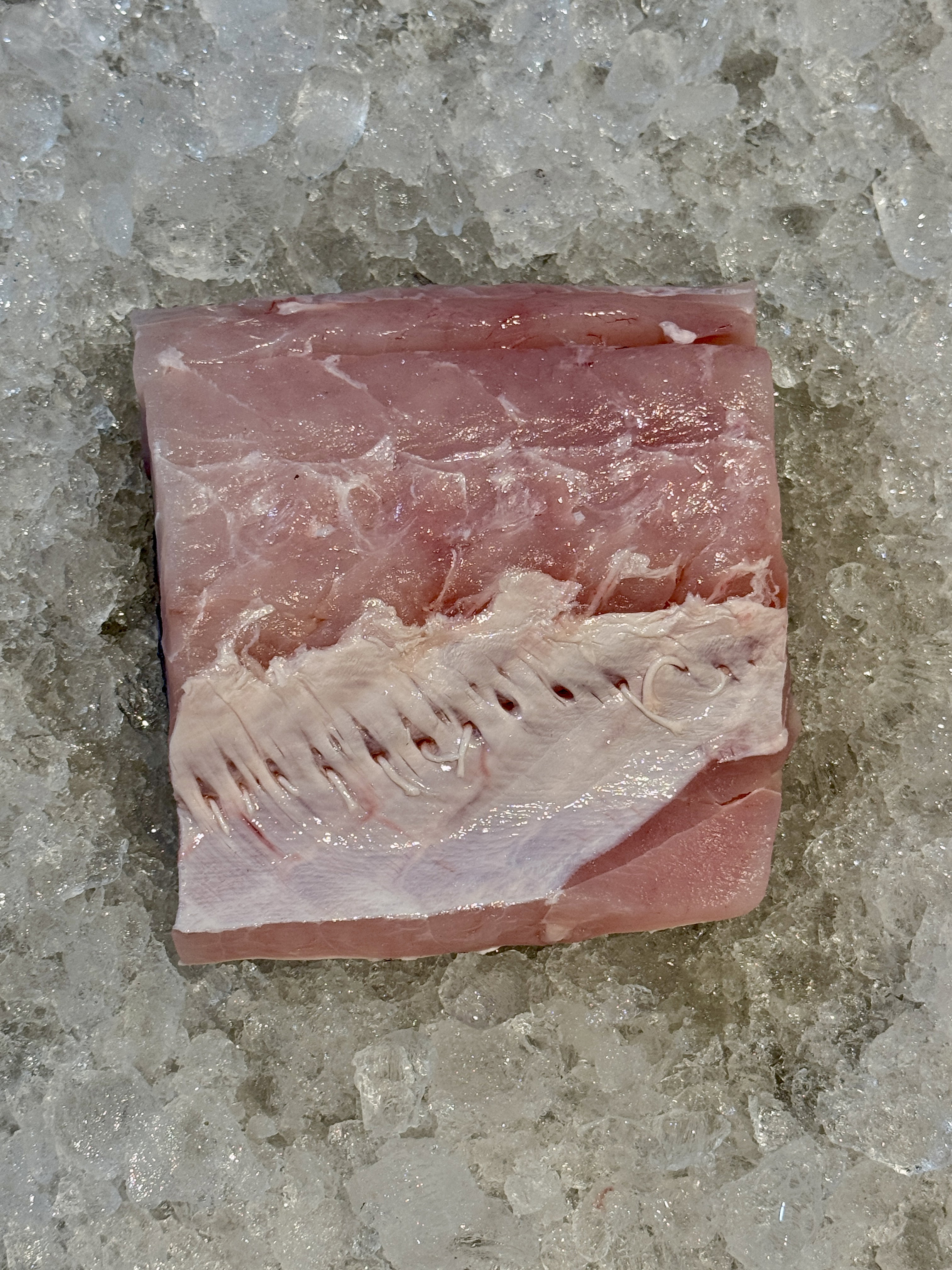 Threadfin (Bailai/Surubaya)_1