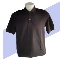 Summer Polo  T-Shirt For Men   