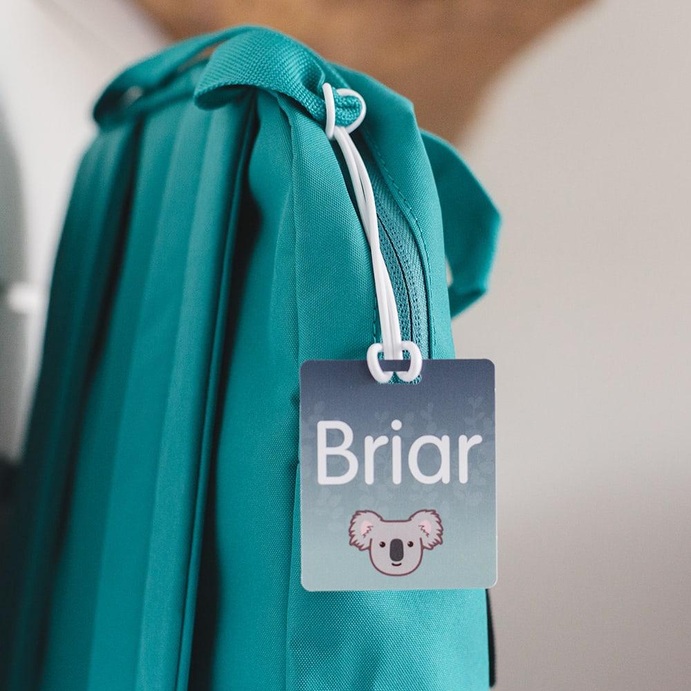 Bag Tags