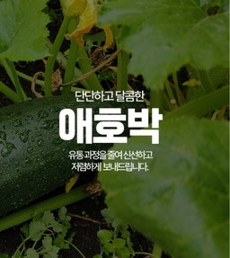 인큐애호박/상 국내산 1박스 (20개입) Premium Korean Zucchini (Box of 20)