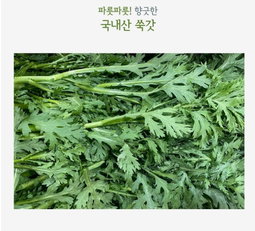 쑥갓 4kg Crown Daisy 4kg