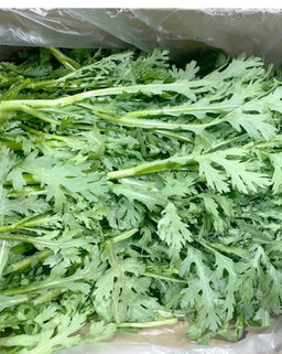 쑥갓 4kg Crown Daisy 4kg