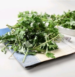 생 쑥 2kg Fresh Mugwort 2kg