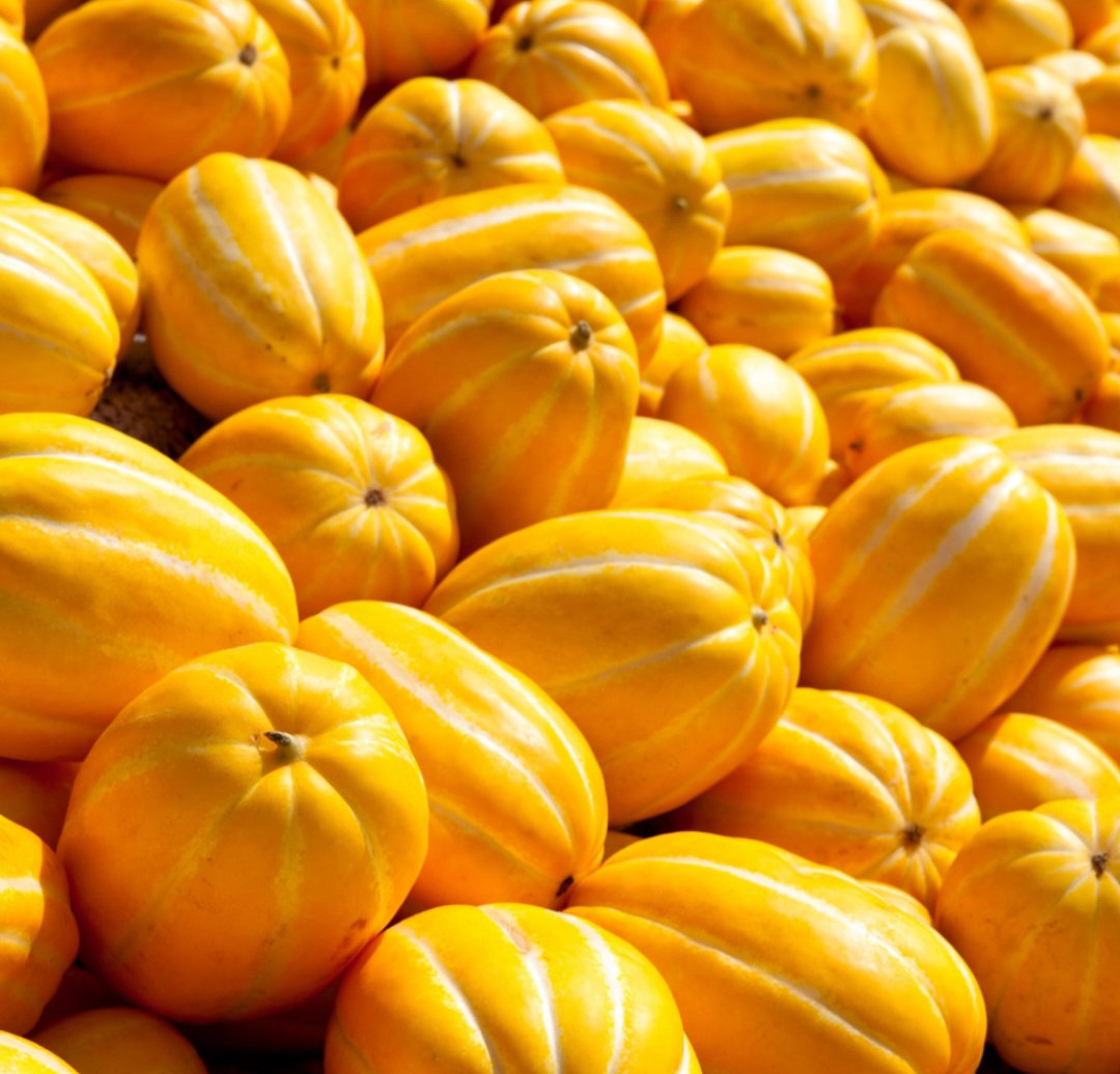 참외 5kg Korean Melon 5kg_1