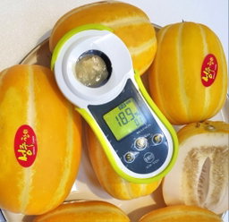 참외 5kg Korean Melon 5kg