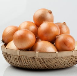 햇양파10kg Fresh Onion 10kg