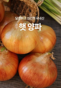 햇양파5kg Fresh Onion 5kg