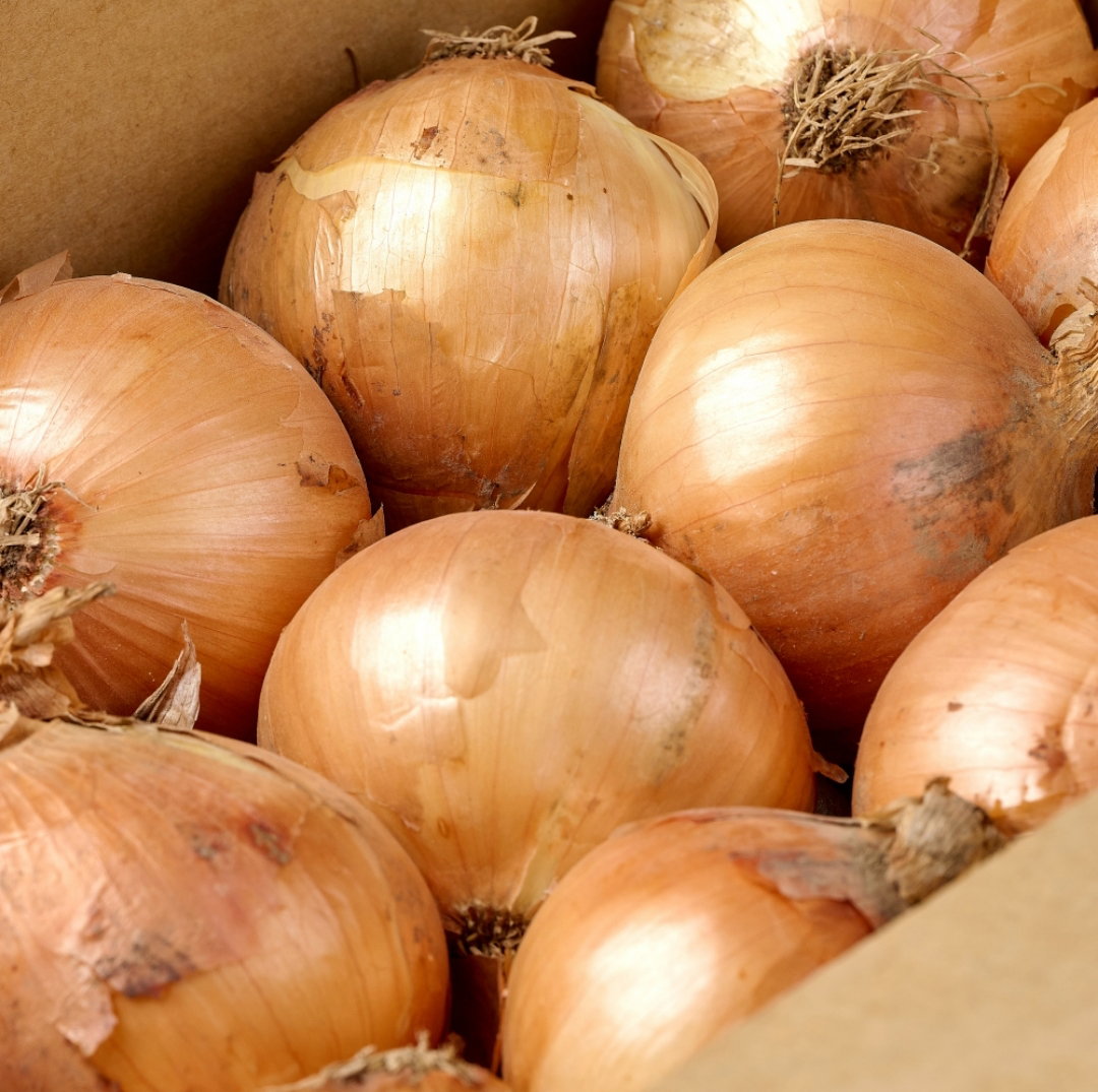 햇양파5kg Fresh Onion 5kg_1