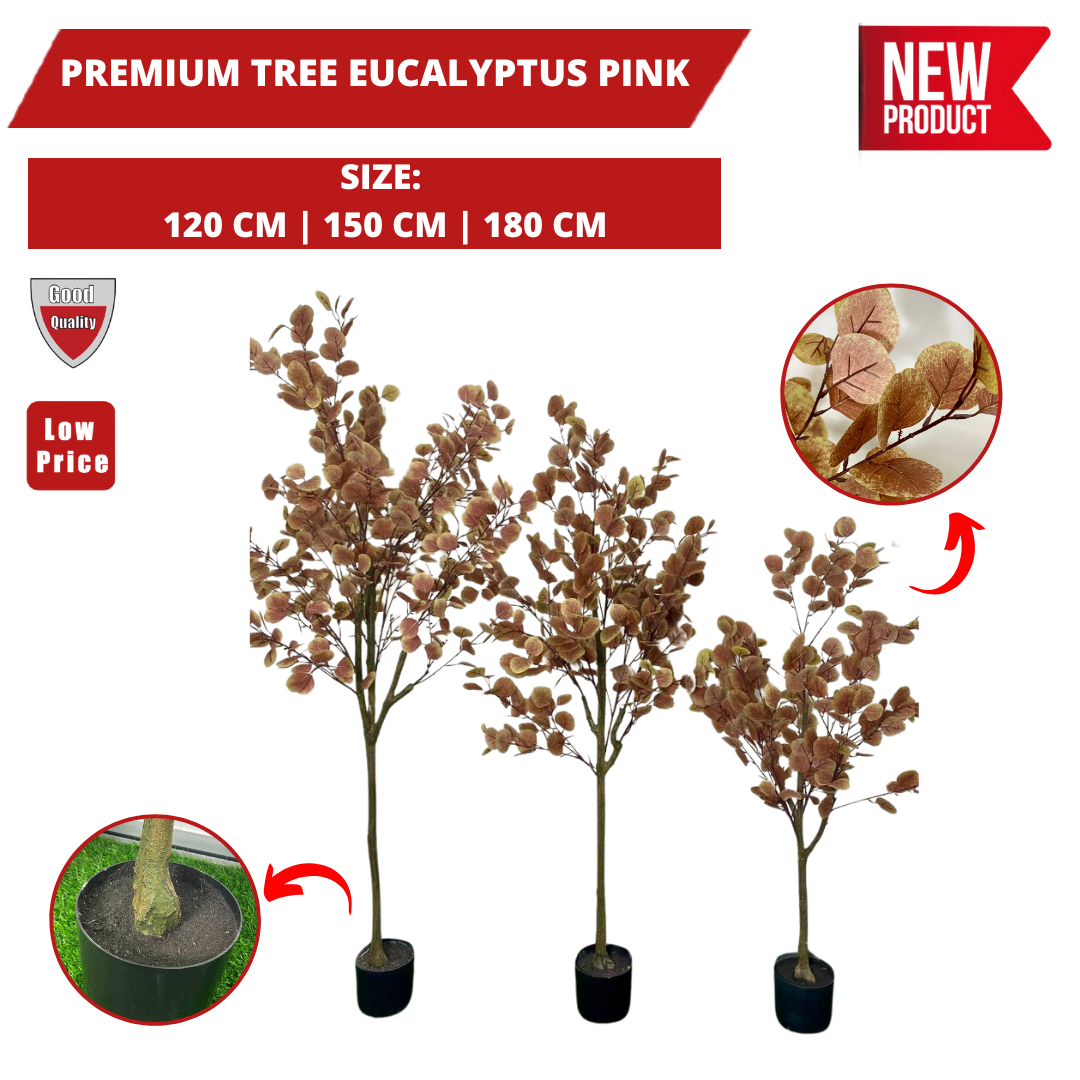 PREMIUM TREE EUCALYPTUS PINK