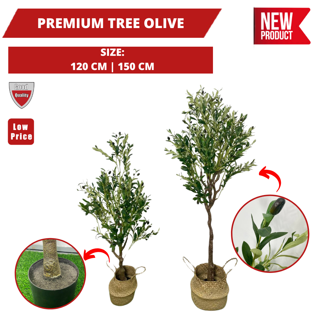 PREMIUM TREE OLIVE