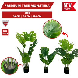 PREMIUM TREE MONSTERA