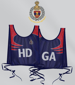 Sublimated Netball Bibs (per set)