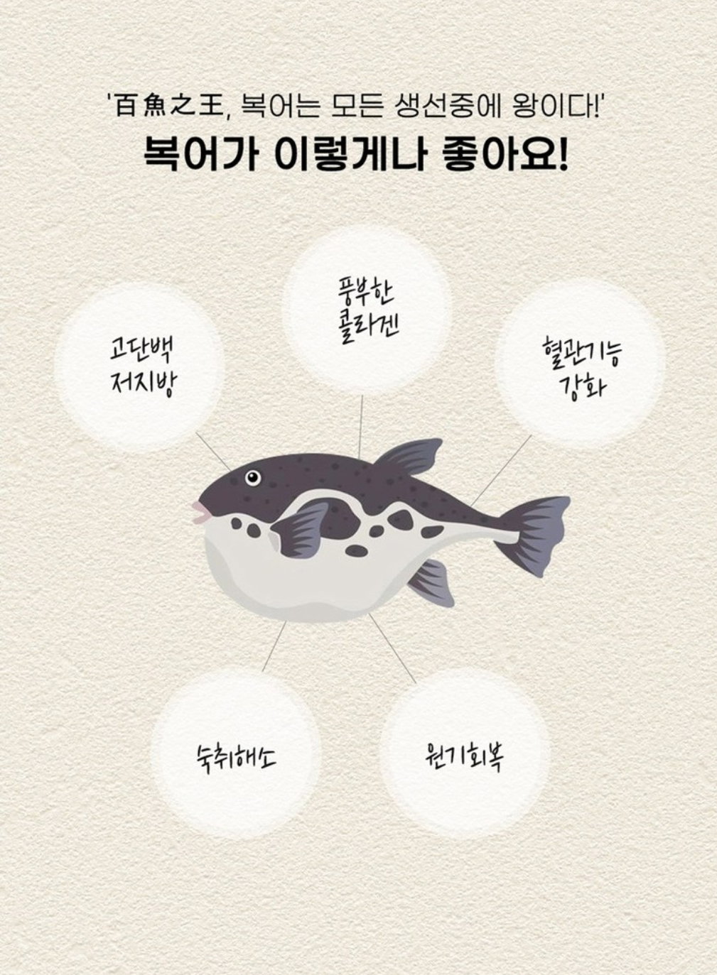 동래복국 복어밀키트 2종세트 Dongnae Blowfish Soup Kit 2-Types Set_4