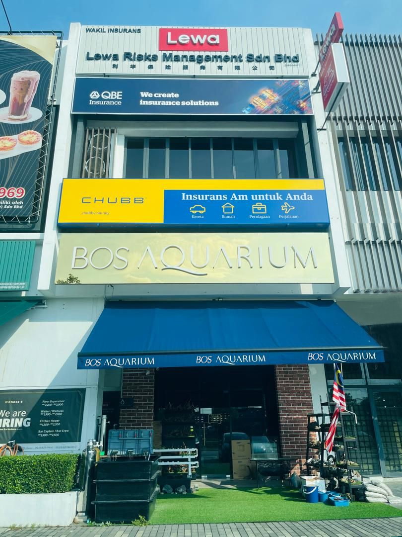 Store Front_0