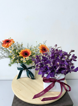 Daily Flower, Table Flower (Regular)