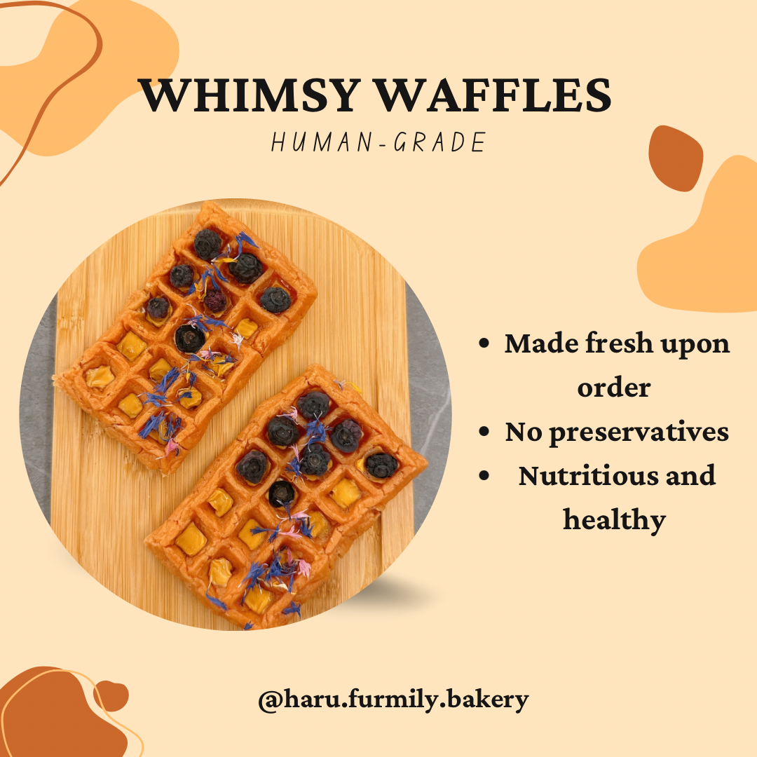 Whimsy Waffles_0