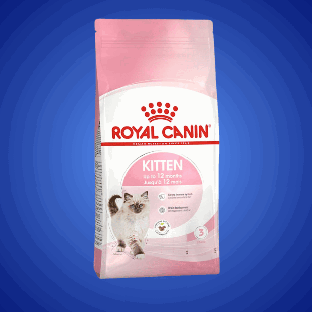 ROYAL CANIN - Chaton
