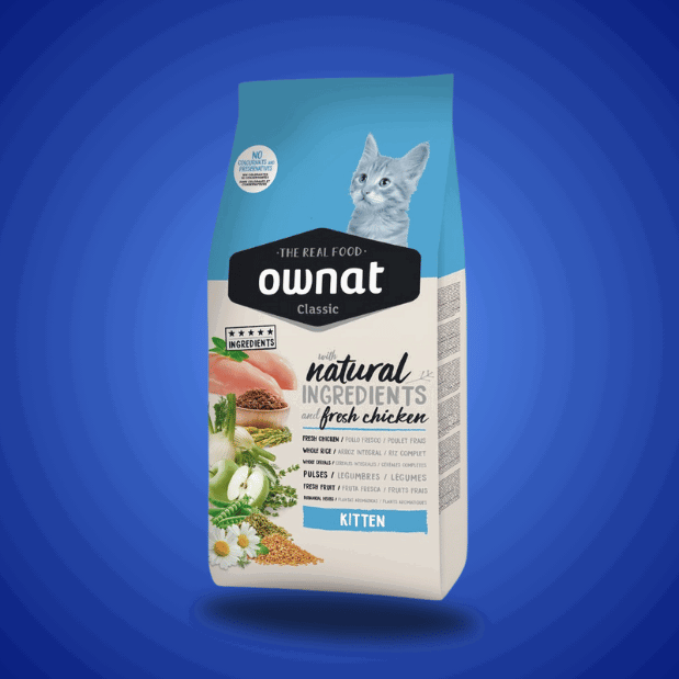 OWNAT Classic - Chaton