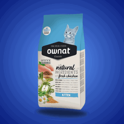 OWNAT Classic - Chaton