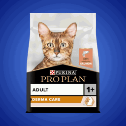 PRO PLAN Derma Care - Chat Adulte - Saumon