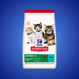 HILL'S - Chaton - Thon