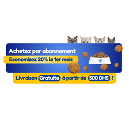 Croquettes